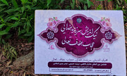 پویش ارسال عکس در تبیین همایش مادران فاطمی و ترویج فرهنگ حجاب و عفاف