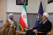 دیدار رئیس مرکز ارتباطات دولت و روحانیت با مدیر حوزه‌های علمیه خواهران