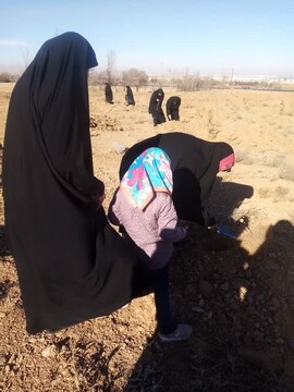 مراسم درختکاری با حضور گروه جهادی پایگاه بسیج طلاب فارغ‌التحصیلان اراک