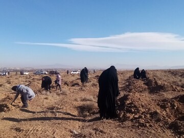 مراسم درختکاری با حضور گروه جهادی پایگاه بسیج طلاب فارغ‌التحصیلان اراک