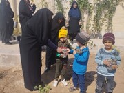 کاشت ۱۶۰ اصله نهال در مدرسه علمیه الزهراء(س) مهریز به مناسبت روز درختکاری