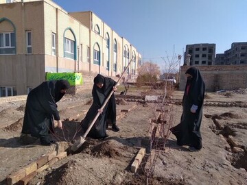 تصاویر/ کاشت چند غرس نهال در حیاط مدرسه علمیه فاطمه المعصومه دلیجان