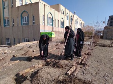 تصاویر/ کاشت چند غرس نهال در حیاط مدرسه علمیه فاطمه المعصومه دلیجان