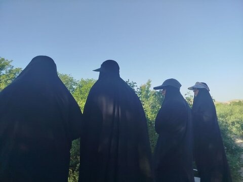 تصاویر/ حضور طلاب جهادی مؤسسه آموزش عالی ریحانة النبی(س) اراک در چیدن گل‌های محمدی