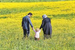 باید با ذرهبین، دنبال بچه بگردیم