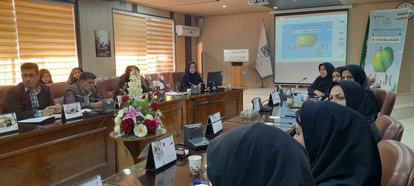 ازدواج بهموقع و همافزایی نهادها؛ نسخه جوانسازی جمعیت است