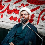 معرفی شخصیت امام رضا (علیه‌السلام) به جوانان امروز نیازمند رویکردی جذاب، کاربردی و متناسب است