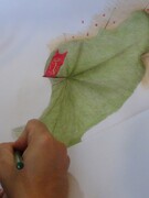 تصاویر/ نمایی از خلاقیت طلاب هنرمند در اولین رزمایش هنری «زنده‌نویسی و طراحی» اصفهان