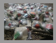 فیلم| همدلی بانوان جهادگر با حافظان امنیت