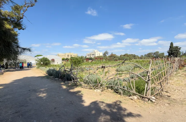 یادداشت| زنان آواره لبنانی، از خاک سوخته زندگی می‌سازند