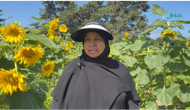 یادداشت| زنان آواره لبنانی، از خاک سوخته زندگی می‌سازند