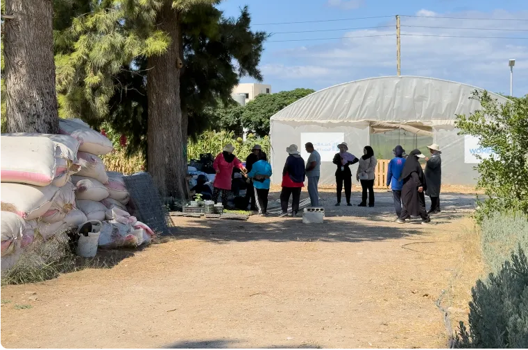 یادداشت| زنان آواره لبنانی، از خاک سوخته زندگی می‌سازند