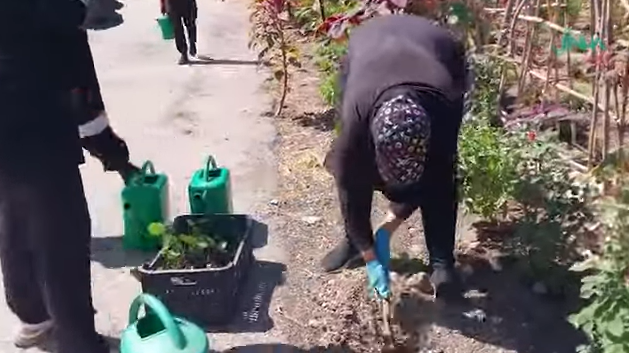 یادداشت| زنان آواره لبنانی، از خاک سوخته زندگی میسازند