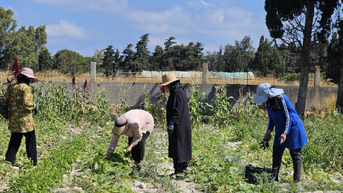 یادداشت| زنان آواره لبنانی، از خاک سوخته زندگی می‌سازند