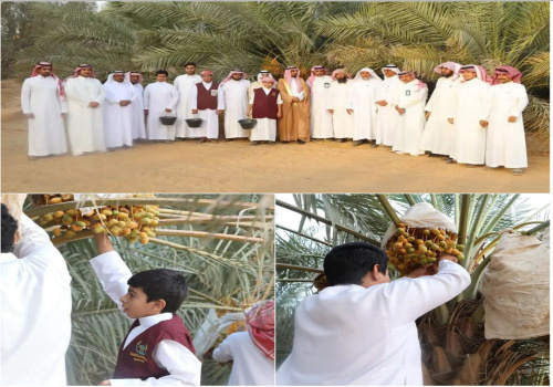 برنامه «فصل برداشت خرما» فرصتی با هدف آمادگی جوانان عربستانی برای ورود به بازار کار