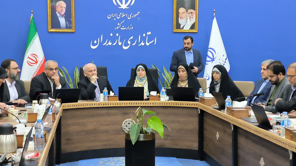 نماینده مجلس خواستار اصلاح واژگان اداری مرتبط با زنان شد