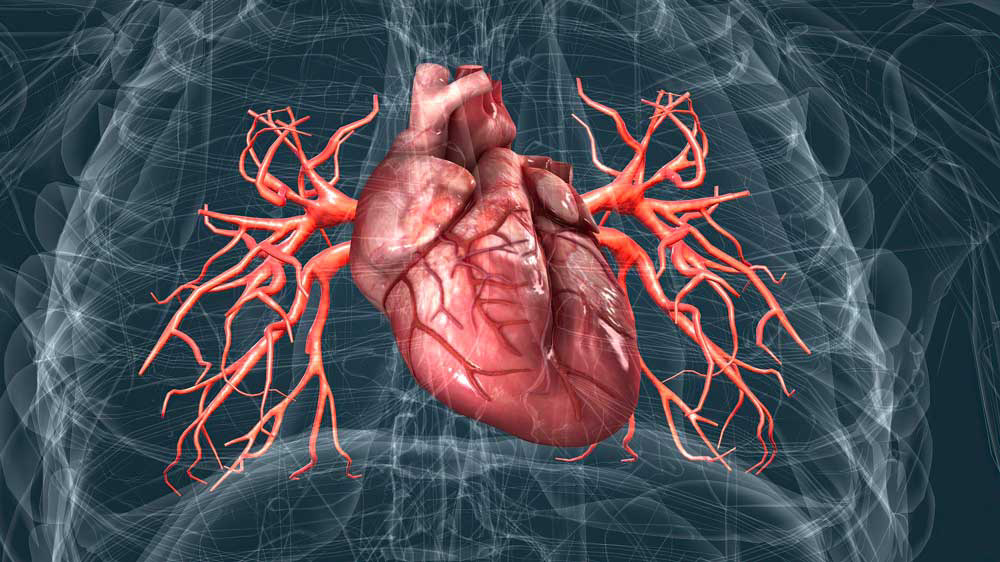 علائم قلبی در زنان خاموش‌تر است